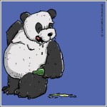 Chris Schlag: Pandabeer