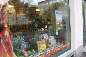 Comicgarten_2015_Schaufenster_CityComics_17